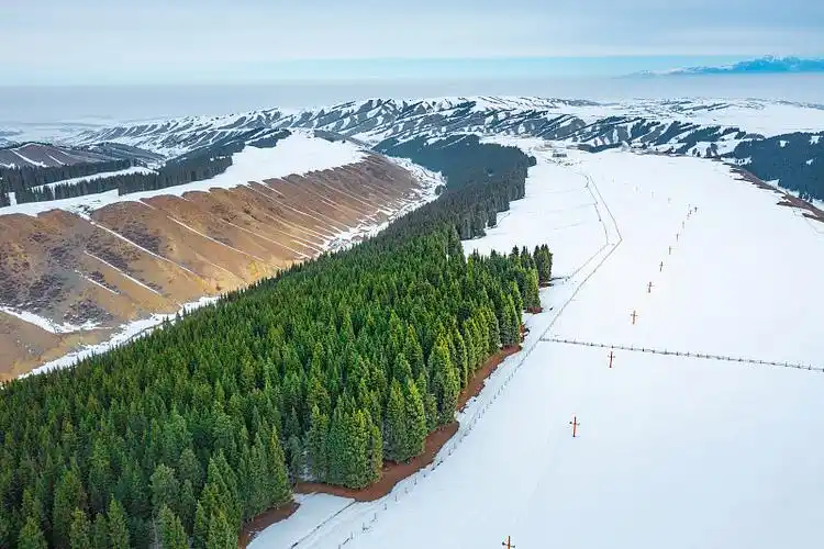 Group Ski Tours to Xinjiang: Agencies, Packages, and What’s Included