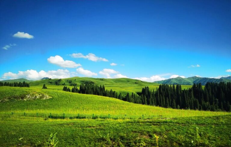 Spending Christmas Skiing in Xinjiang: A Foreign Visitor’s Field Notes