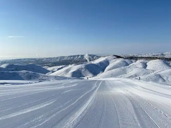 Gongliu Winter Guide: Kuerdening Snow Valley, Yilegdai Ski Resort & Forest Trails