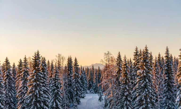 Xinjiang winter ski landscape