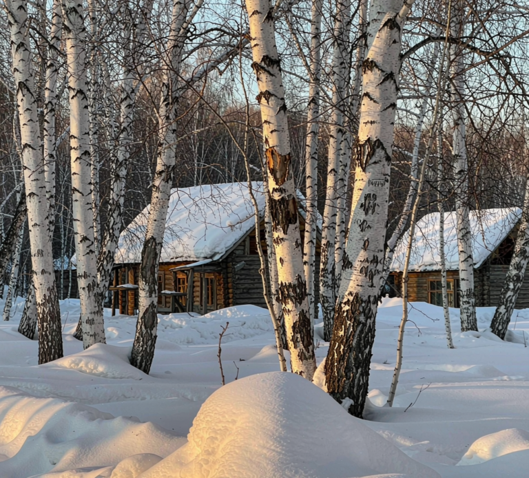 Xinjiang winter scene 4