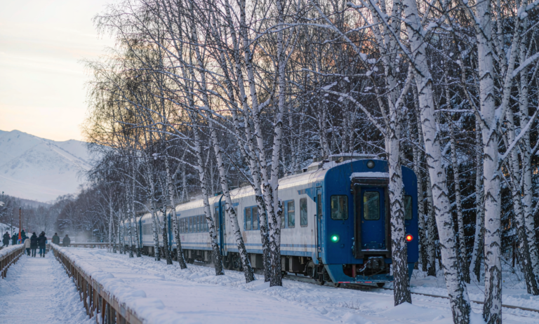 A blue and white train arriving through a snowy birch forest station in northern Xinjiang